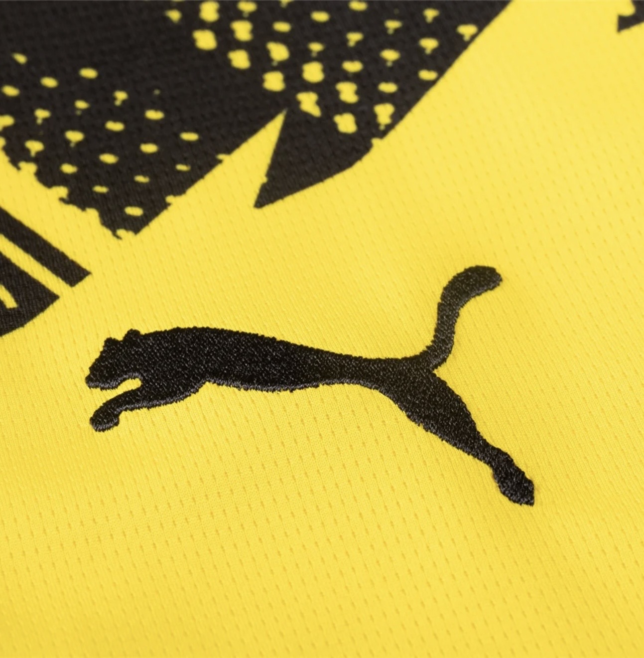 Men's Borussia Dortmund 24/25
Home Jersey Fan Version