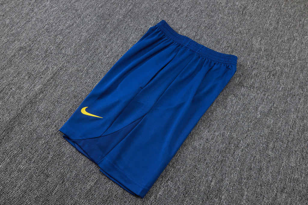 Men’s FC Barcelona 25/26 Training Vest Blue/Red/Yellow