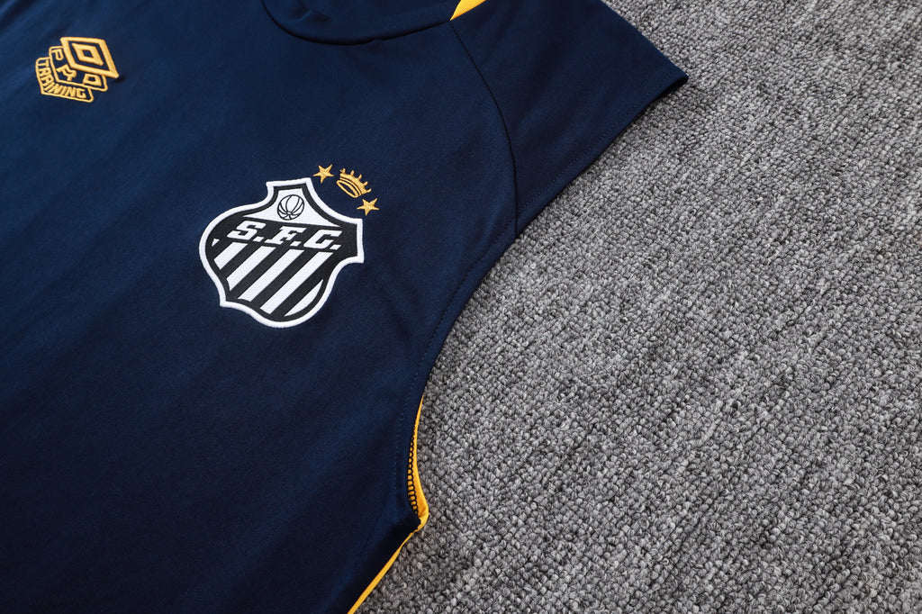 Men’s Santos FC 25/26 Training Vest