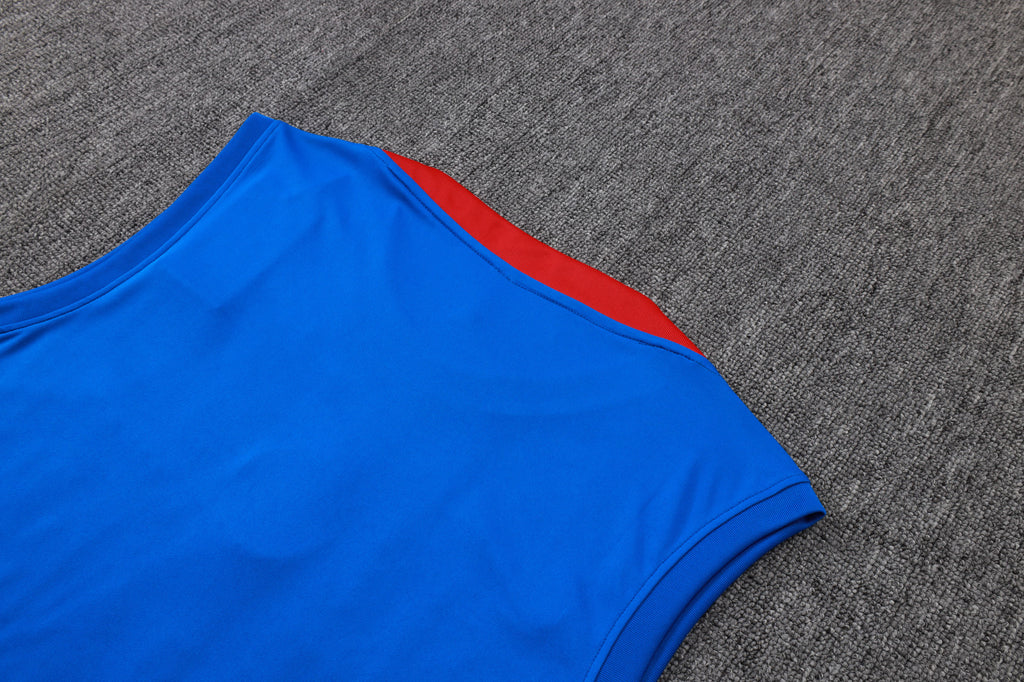 Men’s Paris Saint-Germain Training Vest Blue/Red/Black