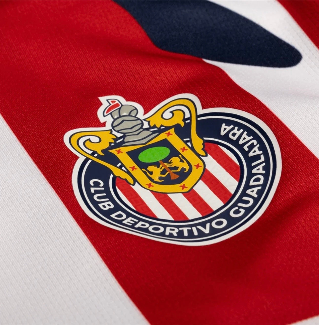 Men's Club Chivas 25/26 Home Jersey Fan Version