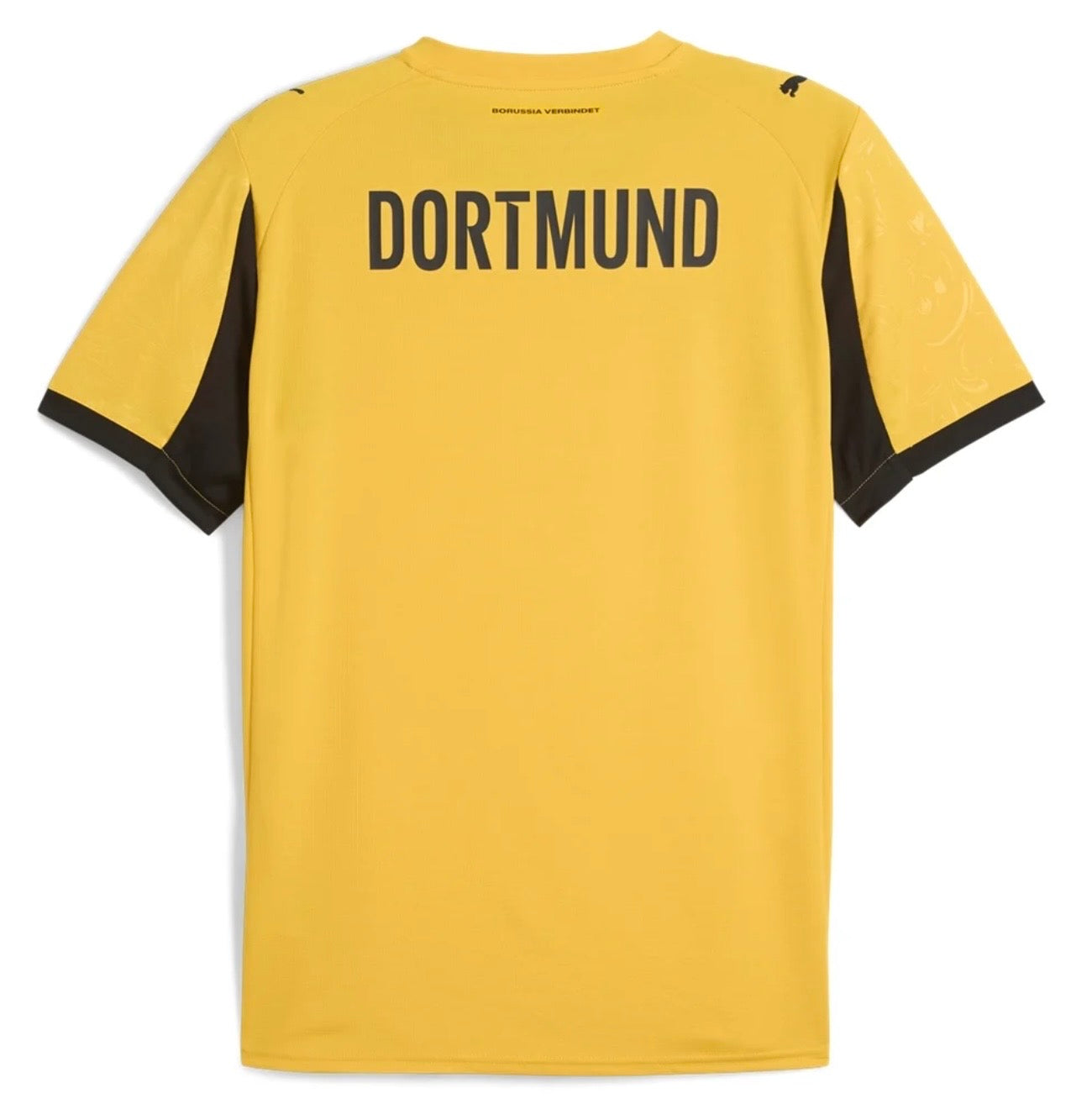 Men's Borussia Dortmund 25/26 
Cup Jersey Fan Version