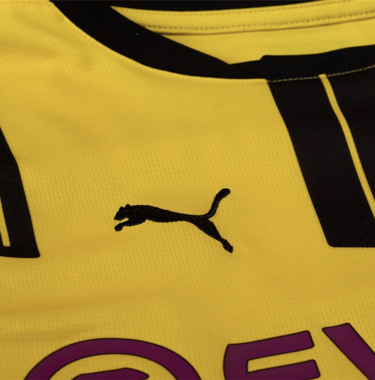 Women's Borussia
Dortmund 24/25 Cup Jersey Fan Version