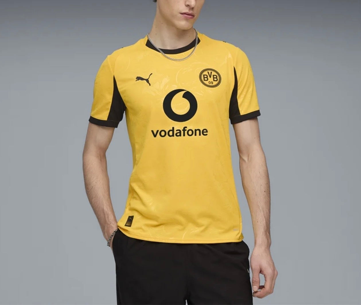 Men's Borussia Dortmund 25/26 
Cup Jersey Fan Version