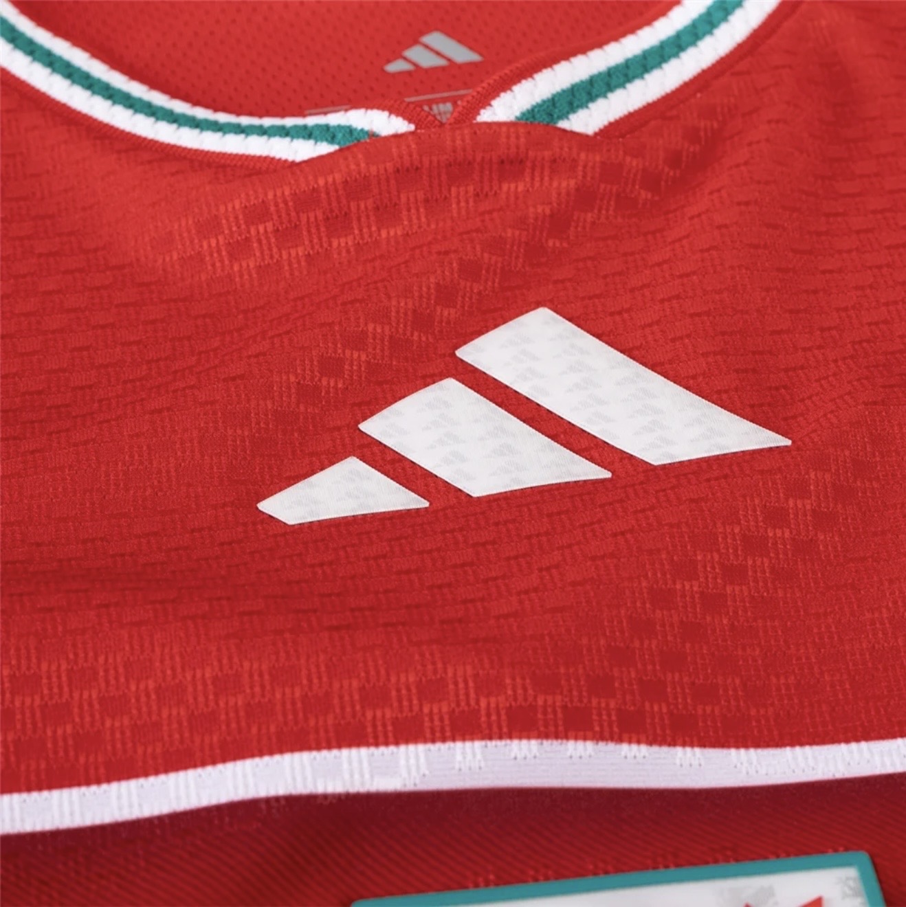 Men's Wales Home
Jersey 2026 Player Version