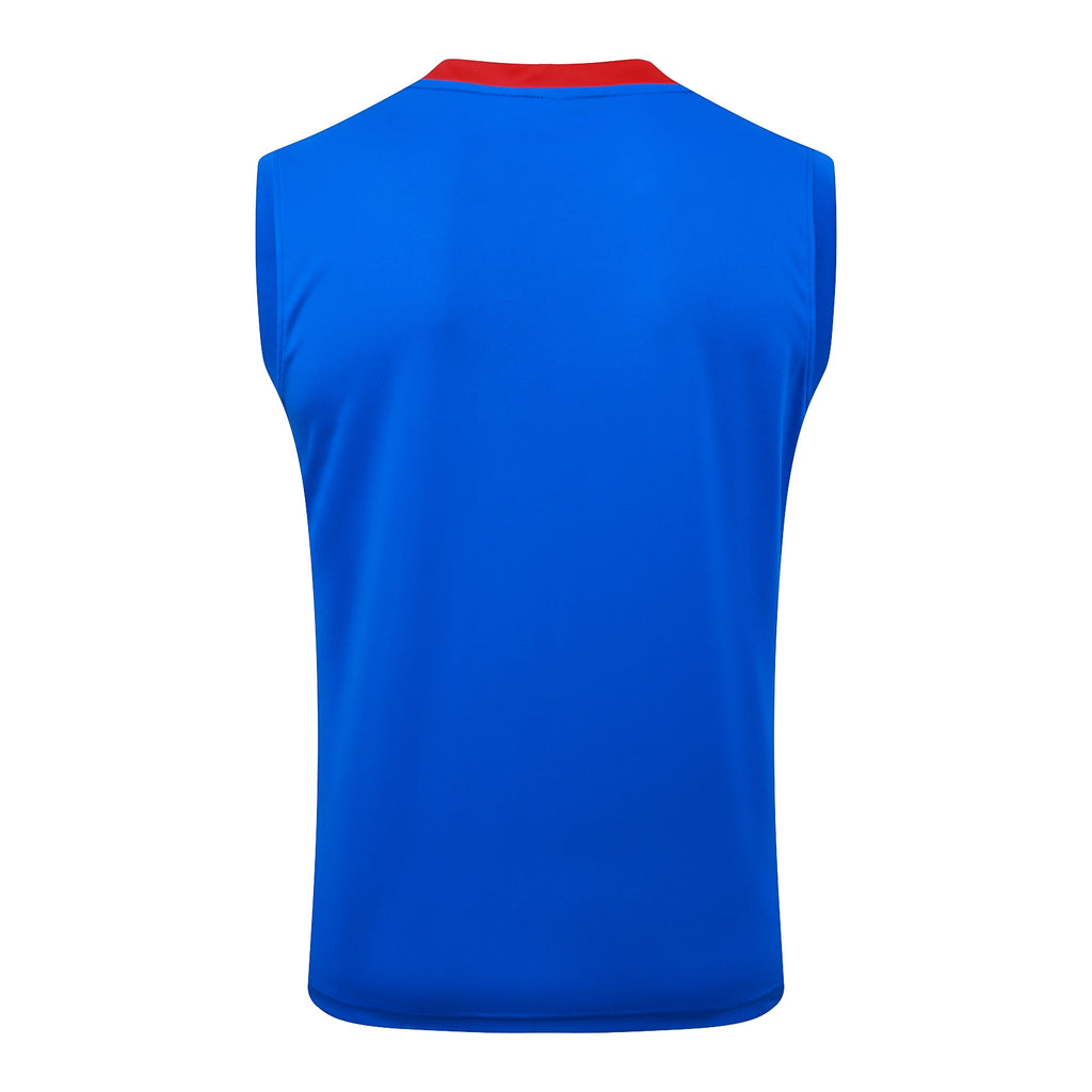 Men’s Paris Saint-Germain Training Vest Blue/Red/Black